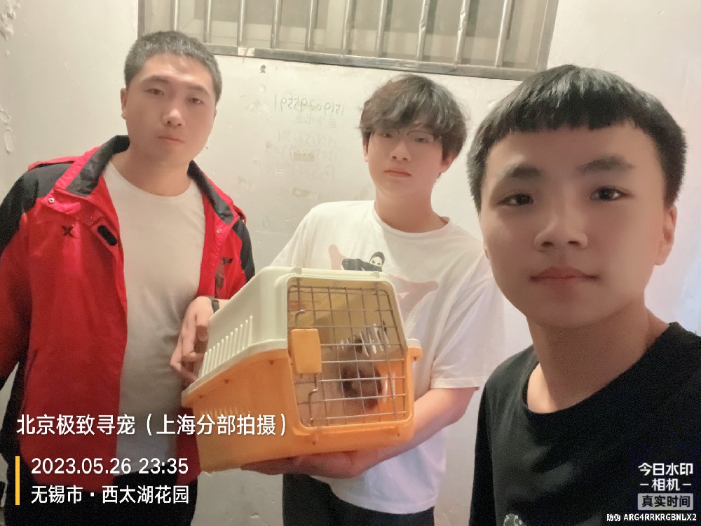 無錫找貓